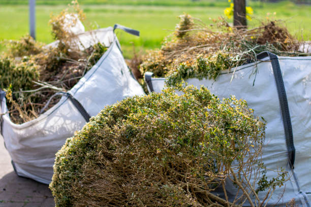 Commercial Cleanout Services in Shandon, CA