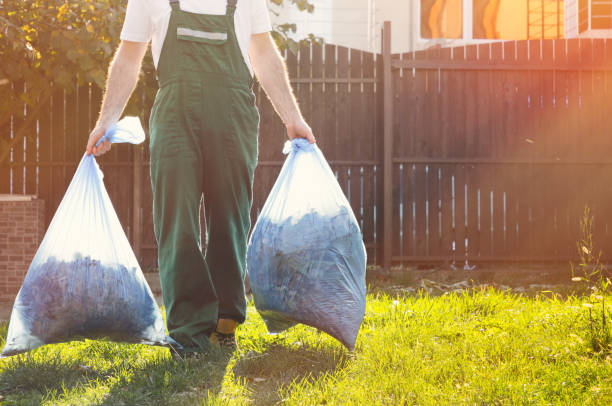 Best Dumpster Rental Services  in Shandon, CA